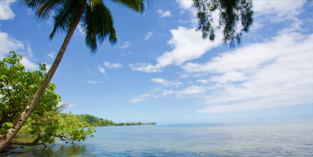 Alles Wichtige über Reisen nach Tahiti