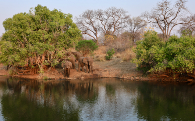 Safari Tipps auf dc-travel