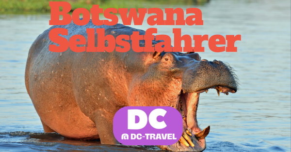 Botswana Selbstfahrer Reisetipps Reiseblog